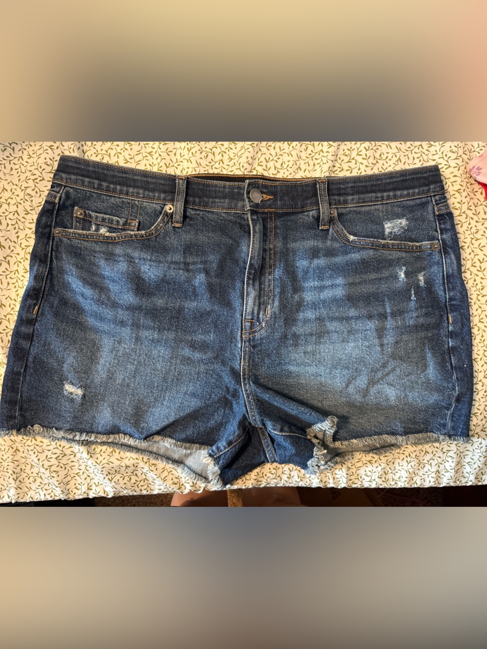 Torrid NWT Jean Shorts